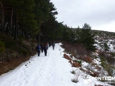 Somosierra - Camino a Montejo;excursiones montaña madrid;senderos madrid